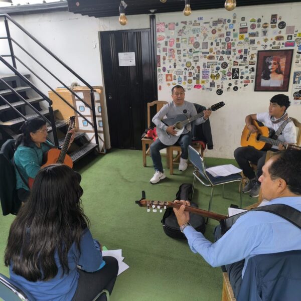 Instrumentos andinos